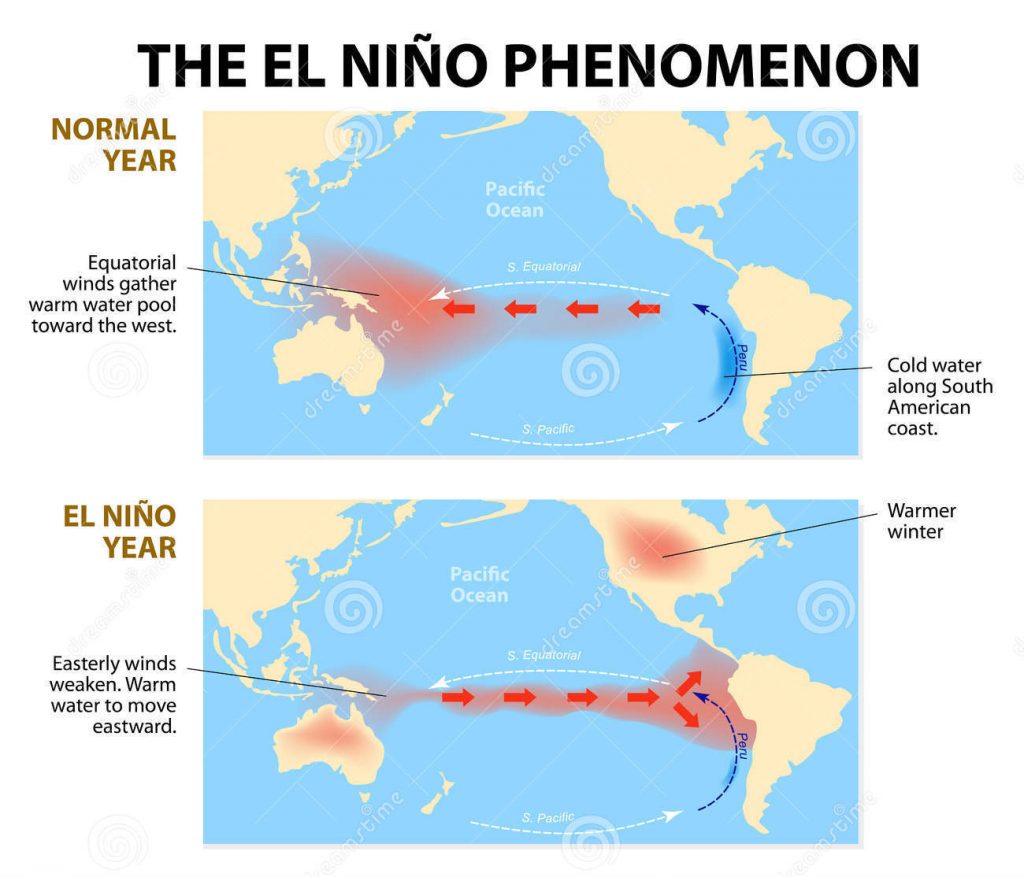 El Nino A Kid Actor In The Climate Change Steamgreen Unibo